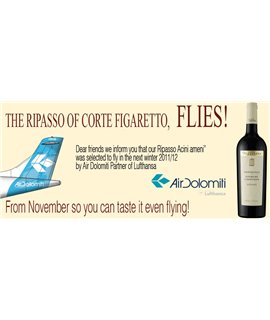 Valpolicella Ripasso Superiore Valpantena DOC Acini Ameni 2015 Corte Figaretto