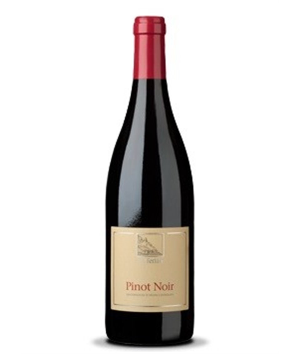 Pinot Noir Alto Adige DOC 2017 Terlan