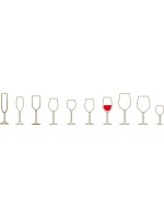 L'Atto Aglianico del Vulture DOC Cantine del Notaio Magnum